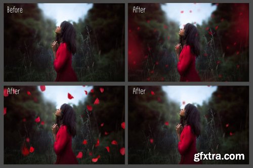 Falling Rose Petals Photo Overlays