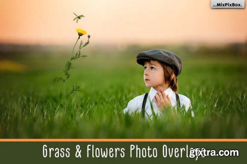  Grass and Flowers Photo Overlays