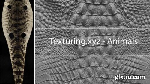 Texturing.xyz - Animals