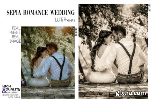  30 Sepia Wedding Video LUTs Presets