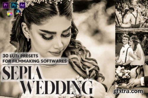  30 Sepia Wedding Video LUTs Presets