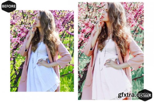 13 Spring Blossoms Video LUTs Presets