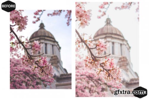 13 Spring Blossoms Video LUTs Presets