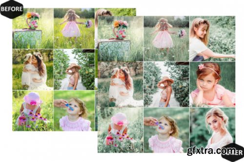 13 Spring Blossoms Video LUTs Presets