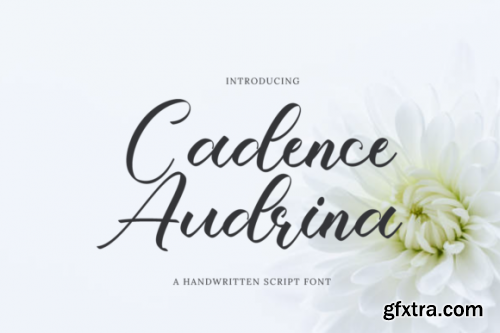  Cadence Audrina Font