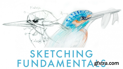  Sketching Fundamentals - Learn Basic Drawing Techniques for Nature