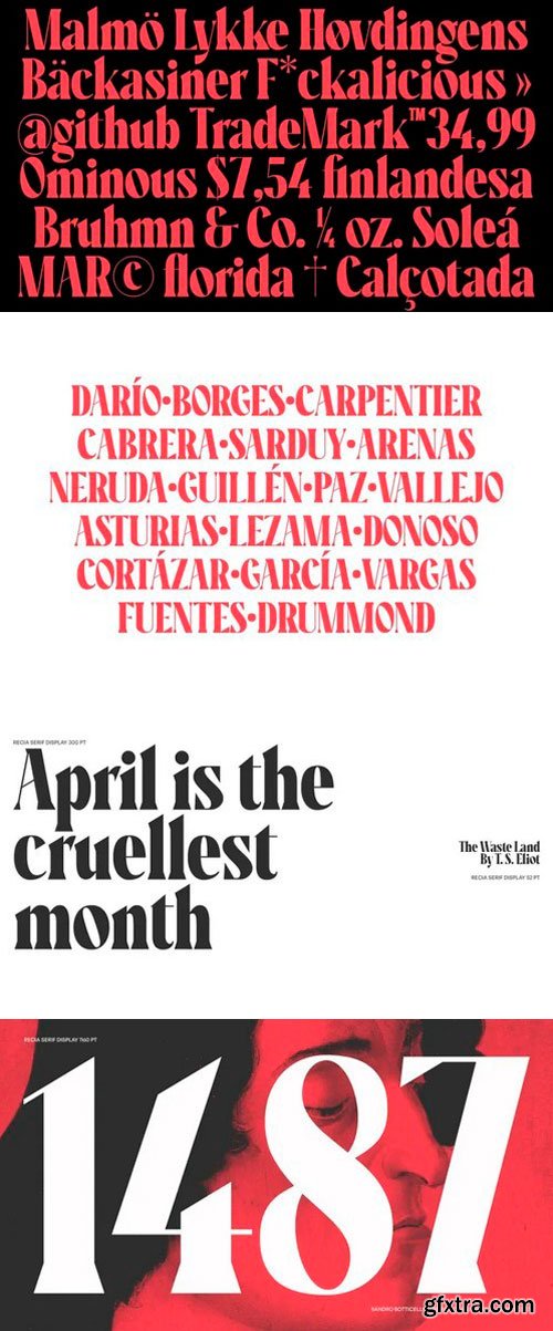 Recia Serif Display Font