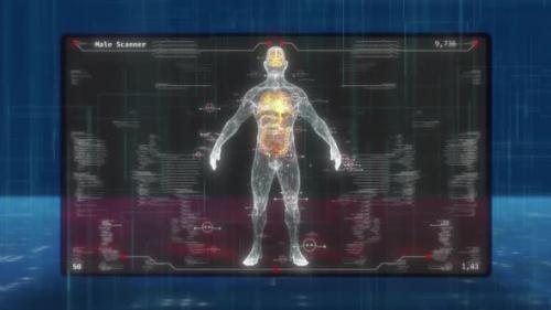 Videohive - HUD UI Male Body Scanner - 36975294 - 36975294