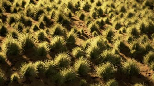 Videohive - Beautiful Yellow Orange Sand Dune in Desert in Middle Asia - 36998638 - 36998638