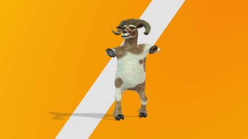 Videohive - Sheep Samba Dance 2 - 36972228 - 36972228