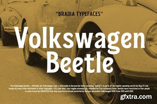 Bradia Vintage Font