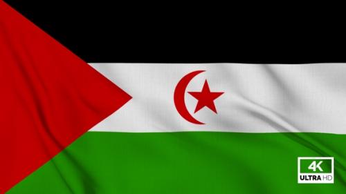 Videohive - Western Sahara Flag Waving Slowly Looped - 36974041 - 36974041