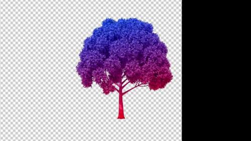 Videohive - Colorful Growing Tree - 36975039 - 36975039