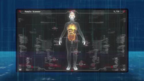 Videohive - HUD UI Female Body Scanner - 36975295 - 36975295