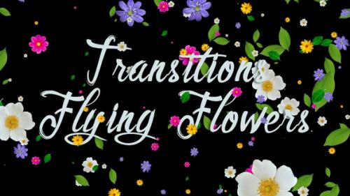 Videohive - Transitions Flying Flowers - 36948400 - 36948400