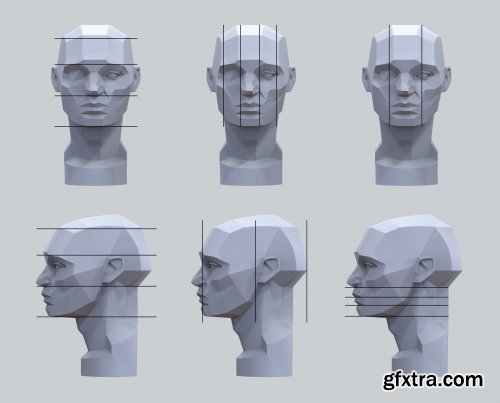 Artstation – Planes of the Head - Study Notes