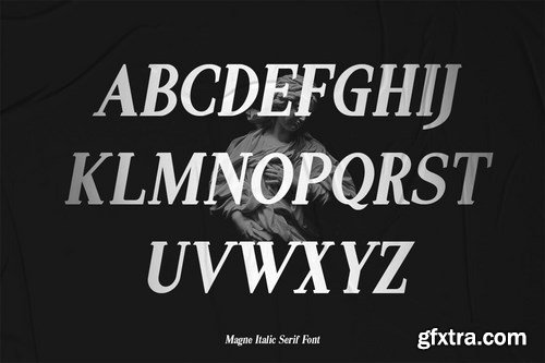 Magne Italic - Bold Serif Font