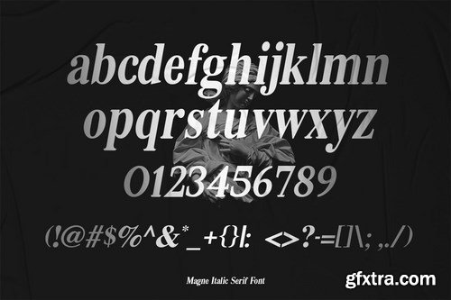 Magne Italic - Bold Serif Font