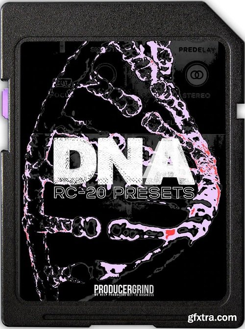 ProducerGrind DNA RC-20 Presets