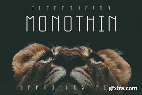 Monothin Font