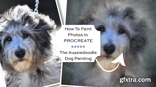 How To Paint Photos In Procreate: The Aussiedoodle Dog Painting