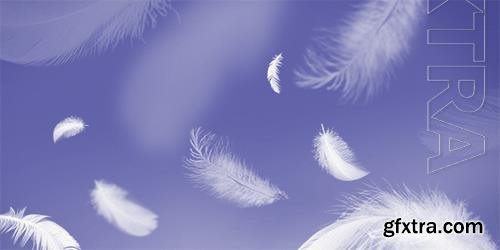 Psd Periwinkle Blue Feather Background