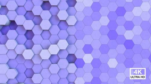 Videohive - Hexagonal Background Melrose - 37117513 - 37117513