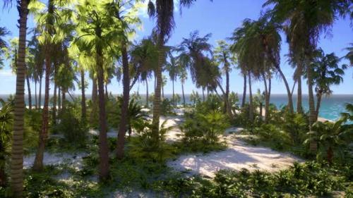 Videohive - Palm Beach In Tropical Idyllic Paradise Island - 37158503 - 37158503