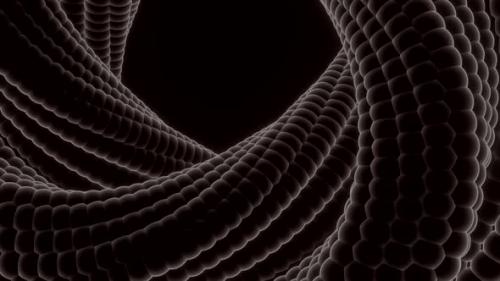 Videohive - 3D twisting loop with snake texture - 37130032 - 37130032