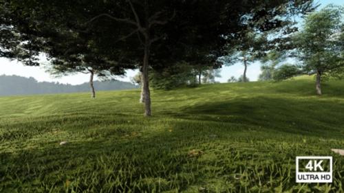 Videohive - Beautiful Trees In Green Field - 37103983 - 37103983