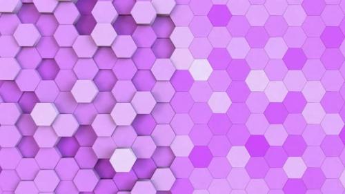 Videohive - Hexagonal Background Light Purple - 37117266 - 37117266