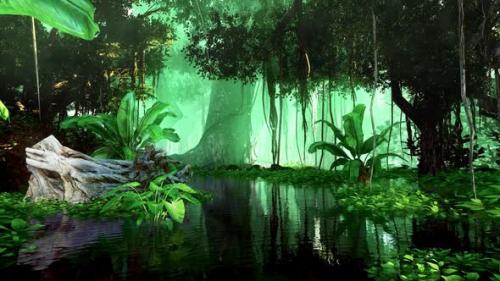 Videohive - Jungle and environment - 37117281 - 37117281