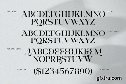 Riclose Font Duo