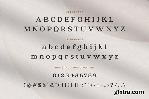 Austena – Modern Stylish Serif