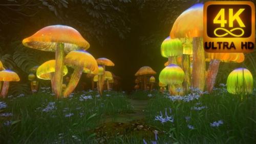 Videohive - Open third eye Trippy 3D psychedelic mushrooms magic tunnel animation 4k beautiful background art - 37123775 - 37123775