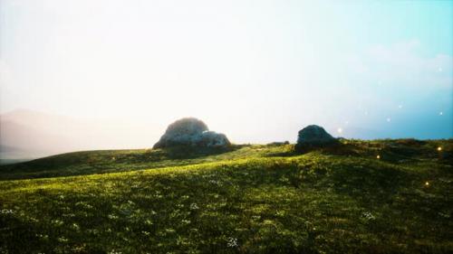 Videohive - Alpine Meadow with Rocks and Green Grass - 37096223 - 37096223