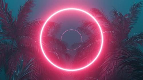 Videohive - Retrowave Glowing Circle Frame Appears in the Tropical Palm Tree Looped Animation - 37052629 - 37052629