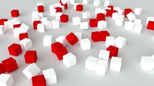 Videohive - Cubes Red And White - 37086926 - 37086926