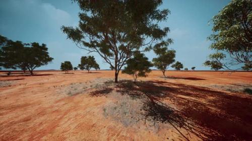 Videohive - Dry African Savannah with Trees - 37088929 - 37088929