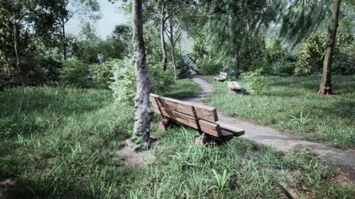 Videohive - Wooden Bench in Nature By the Tree - 37188215 - 37188215