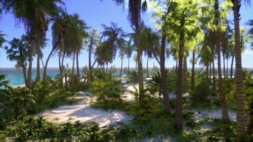 Videohive - Tropical Beach with White Sand Turquoise Water and Palm Trees - 37188250 - 37188250