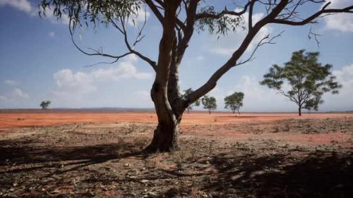 Videohive - Amazing Sunset at Savannah Plains in National Park of Kenya - 37188271 - 37188271