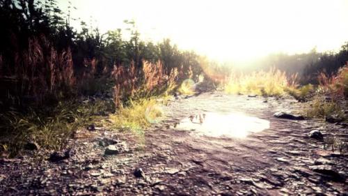 Videohive - Puddles and Mud and Green Grass on a Dirt Road - 37154211 - 37154211