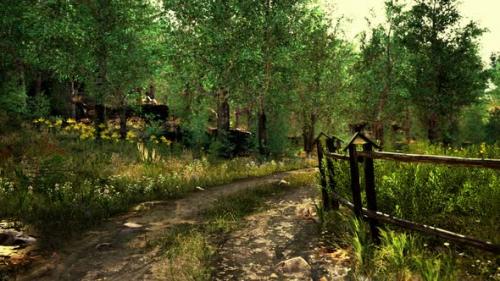 Videohive - Old Wooden Fence and Dirt Road in the Countryside at Summer Season - 37154420 - 37154420