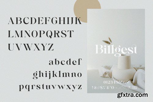 Billgest - Modern Classy Serif