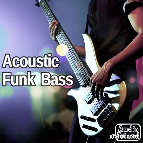 AudioFriend Acoustic Funk Bass WAV