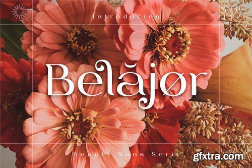 Belajor - Sans Serif Font