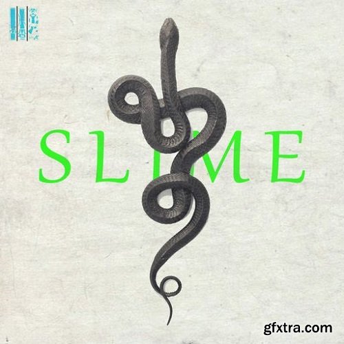 Loops 4 Producers Slime Vol 1 WAV