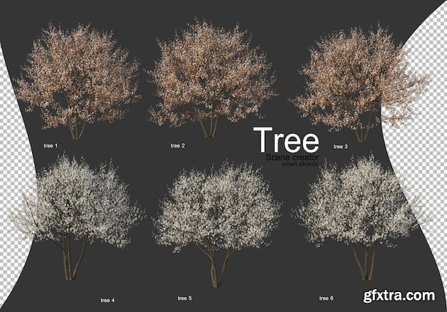 beautiful-various-types-of-trees-gfxtra