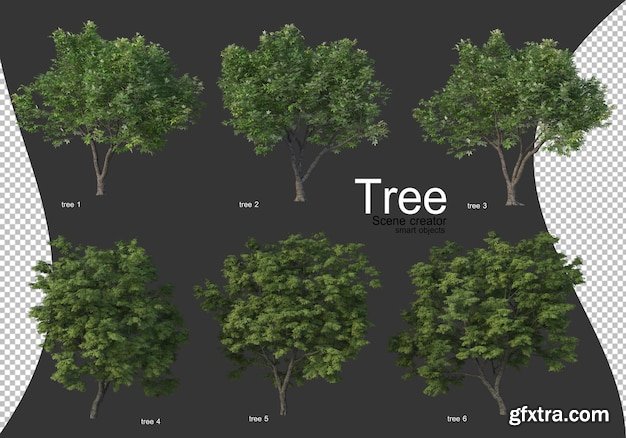 beautiful-various-types-of-trees-gfxtra